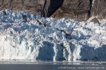 190628d_Blomstrandbreen_06_D