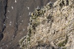 220831c_Buedelfjellet_034_D