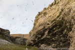 220831c_Buedelfjellet_052_D