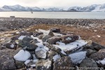 210912a_Raudfjordhytta_030_D
