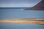 220905a_Bruceneset_078_D