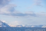 230424b_Stjernsund_02_D