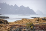 230429_Andenes_071_D