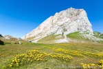 160727a_Gnaalodden_059_D