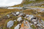 160816a_Gnaalodden_02_D
