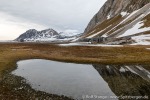 230603c_Gnaalodden_081_D