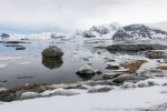 230603c_Gnaalodden_099_D