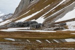 230603c_Gnaalodden_122_D
