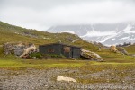 f4r_Gnaalodden_21Juli13_014_D