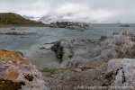 f4r_Gnaalodden_21Juli13_074_D