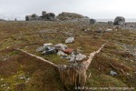 f4r_Gnaalodden_21Juli13_106_D