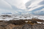 170530a_Eidembukta_041_D