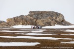 190607a_Eidembukta_70_D