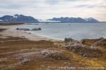 a9j_Eidembukta_21Aug14_062_D