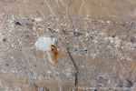 b2_Treskelen_10Aug11_54_D