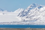 230601a_Forsbladodden_01_D