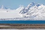 230601a_Forsbladodden_06_D