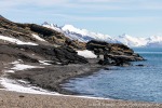 230601a_Forsbladodden_25_D