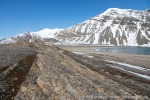 230601a_Forsbladodden_42_D