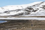 230601c_Maaseneset_35_D