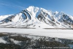 230601c_Maaseneset_37_D