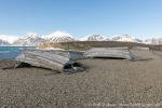 230602c_Ahlstrandodden_11_D