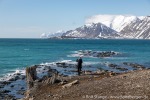 230602c_Ahlstrandodden_26_D