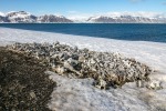 230602d_Bamsebu_09_D