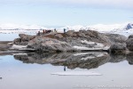 230603c_Gnaalodden_113_D