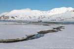 230605a_Engelskbukta_20_D