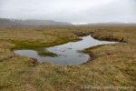 230712c_Rindedalen_27_D