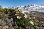230706b_Buchananhalvoya_65_D