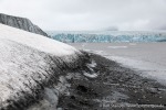 230713a_Hambergbukta_14_D