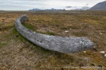 230714a_Vestvika_077_D