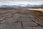 230714a_Vestvika_093_D