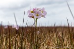 230714a_Vestvika_128_D