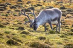 220822b_Observatoriefjellet_008_D