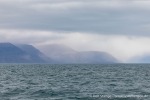 230806b_Billefjord_02_D