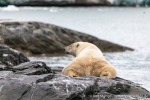 230807a_Nordenskioldbreen_234_D