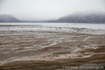230807b_Carronelva_18_D