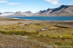 230808a_Trygghamna_23_D