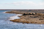 230808d_Poolepynten_068_D