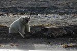 230808d_Poolepynten_212_D