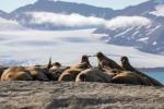 230809b_Sarstangen_33_D