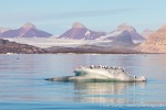 230809c_Kongsfjord_11_D