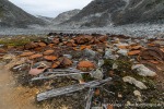 230810d_Virgohamna_023_D
