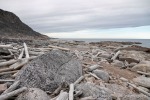 230811a_Kapp-Rubin_090_D