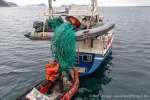 230811b_Ekstremfjord_186_D