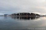 230811c_Lindhagenbukta_01_D