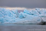 230812c_Rijpbreen_005_D
